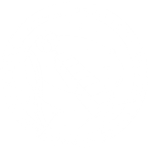 ODALISS patch sketch — signal beams