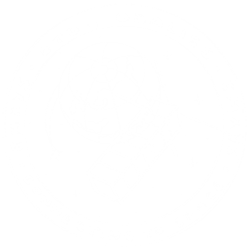 ODALISS patch sketch — Earth from above