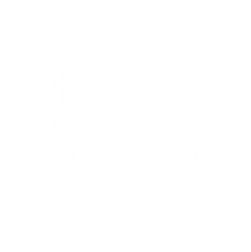 ODALISS patch sketch — diagonal flight